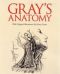 Grays Anatomy