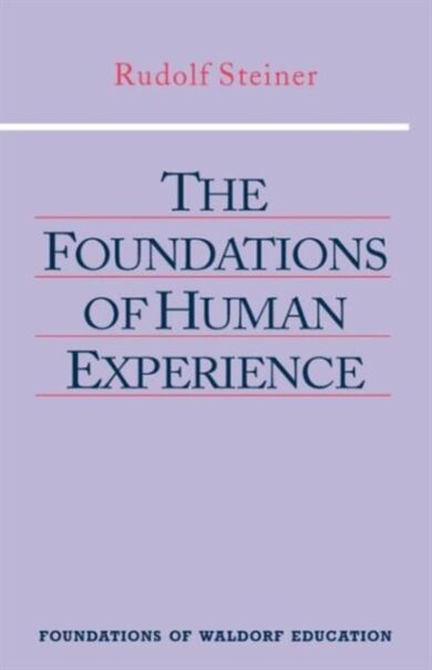 The Foundations of Human Experience