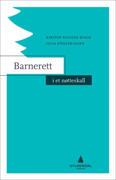 Barnerett i et nøtteskall