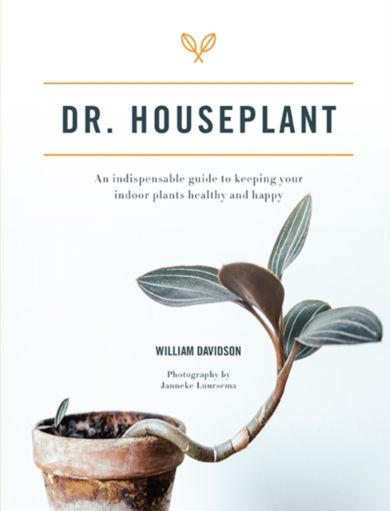 Dr. Houseplant