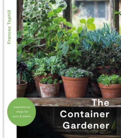 The Container Gardener