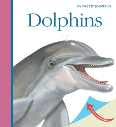 Dolphins