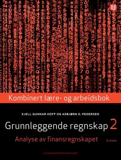 Grunnleggende regnskap 2