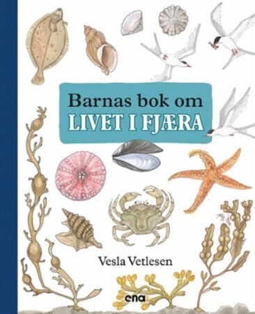 Barnas bok om livet i fjæra