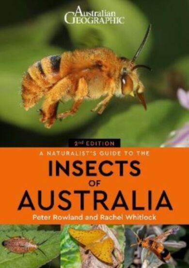 A Naturalist's Guide to the Insects of Australia