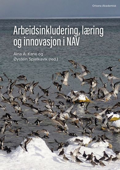 Arbeidsinkludering, læring og innovasjon i NAV