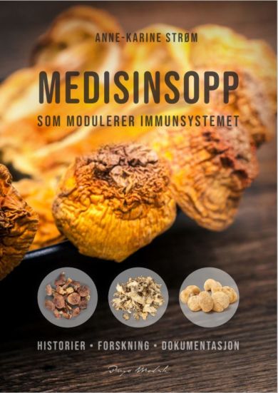 Medisinsopp