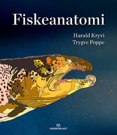 Fiskeanatomi