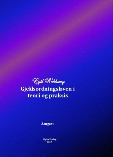 Gjeldsordningsloven i teori og praksis