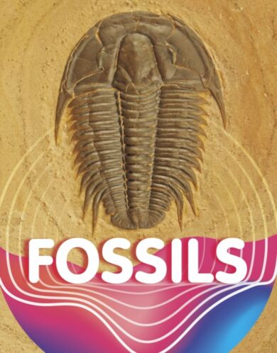 Fossils