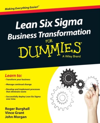 Lean Six Sigma Business Transformation For Dummies