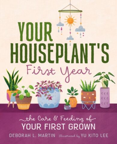 Your Houseplant's First Year