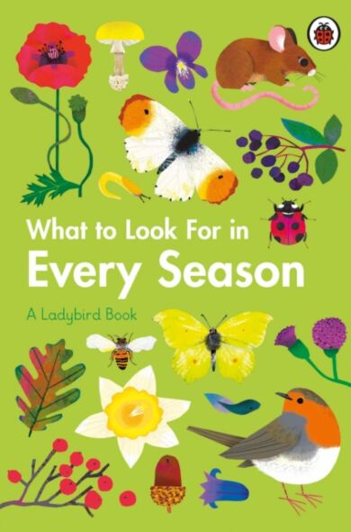 What to Look For in Every Season