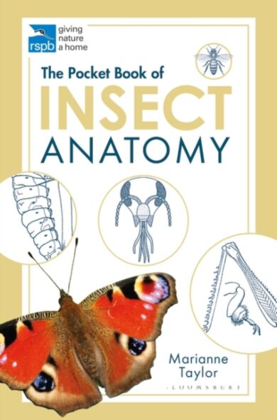 The Pocket Book of Insect Anatomy