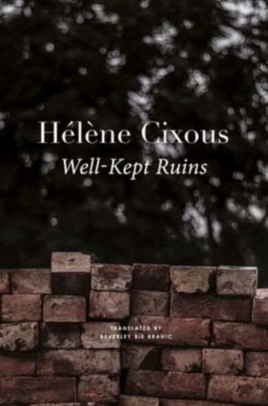 Well¿Kept Ruins