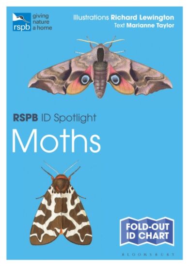 RSPB ID Spotlight - Moths