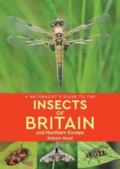 A Naturalist's Guide to the Insects of Britain and Northern Europe (2nd edition)