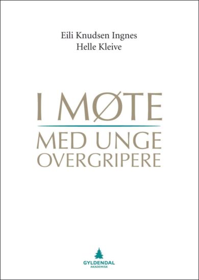 I møte med unge overgripere