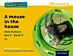 Read Write Inc. Phonics: A Mouse in the House (Yellow Set 5 Non-fiction 5)