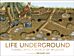 Life Underground