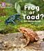 Frog or Toad?