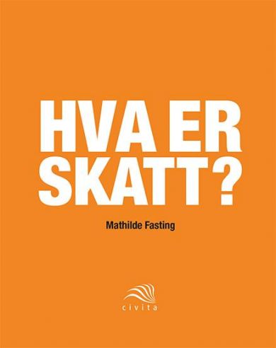 Hva er skatt?