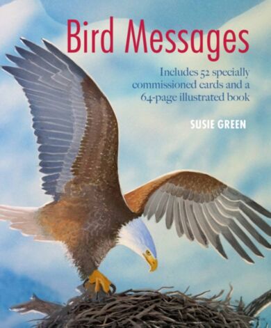 Bird Messages