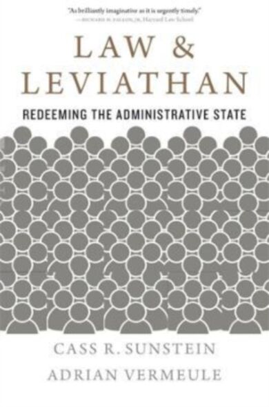 Law and Leviathan