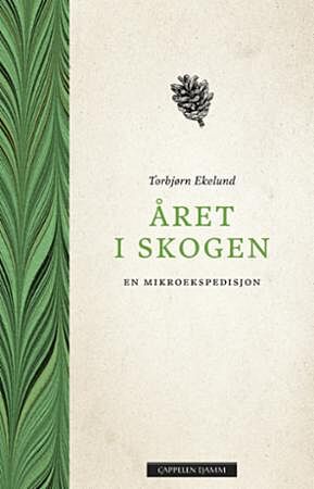 Året i skogen