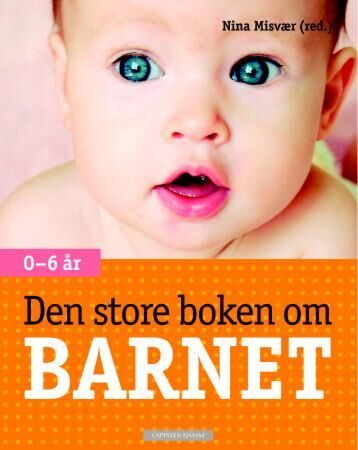 Den store boken om barnet