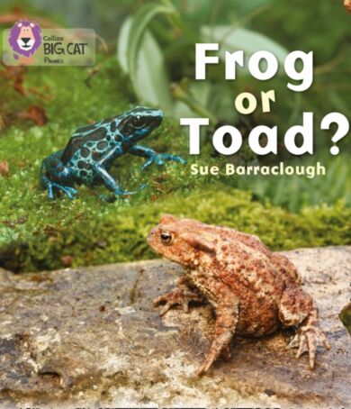 Frog or Toad?