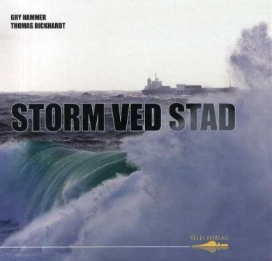 Storm ved Stad