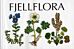 Fjellflora