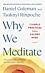 Why We Meditate