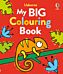 My Big Colouring Book