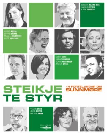 Steikje te styr