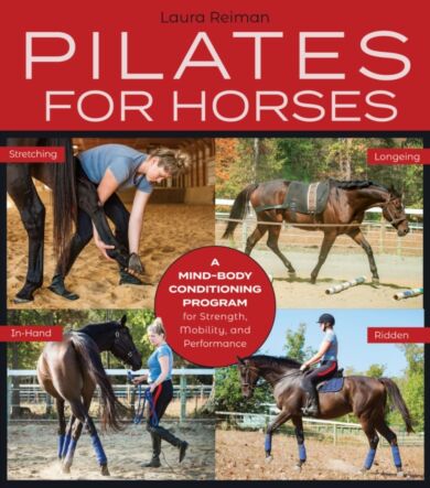 Pilates for Horses