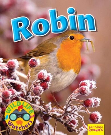 Wildlife Watchers: Robin