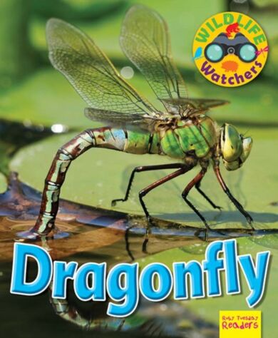 Wildlife Watchers: Dragonfly