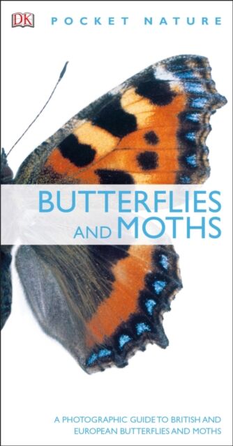 Butterflies and Moths