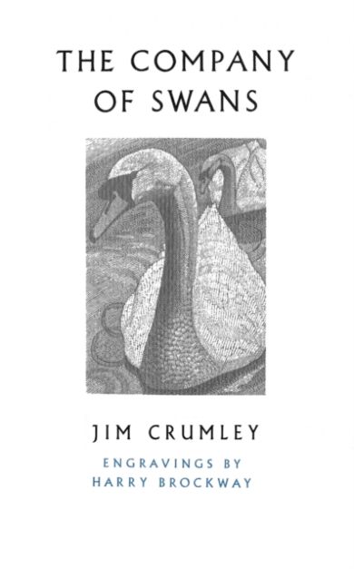 The Company of Swans