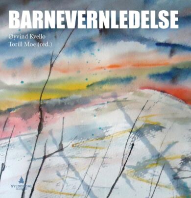 Barnevernledelse