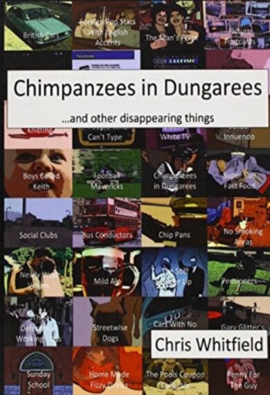 Chimpanzees in Dungarees