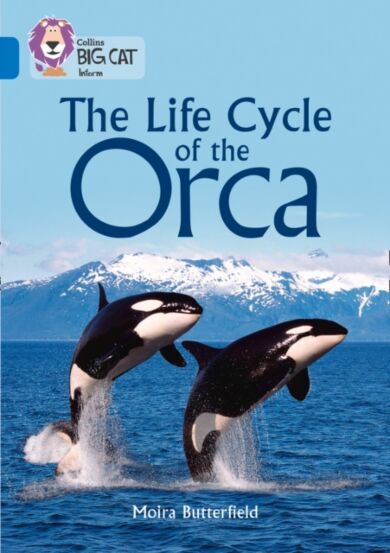 The Life Cycle of the Orca