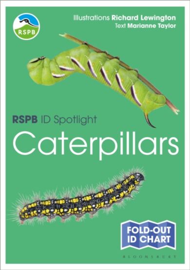 RSPB ID Spotlight - Caterpillars