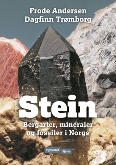 Stein