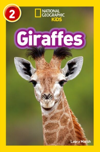 Giraffes