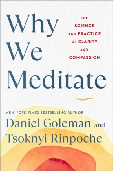 Why We Meditate