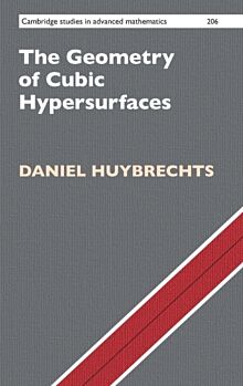 The Geometry of Cubic Hypersurfaces