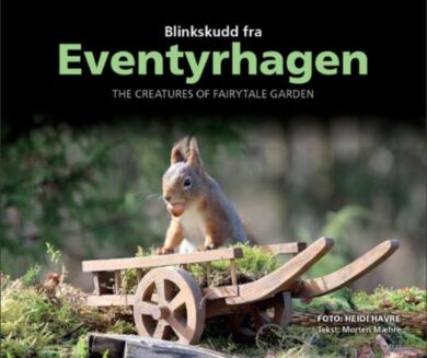 Blinkskudd fra Eventyrhagen = The creatures of Fairytale garden